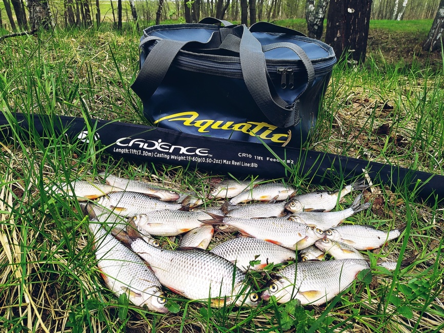 CR10 Feeder #2 (12ft), 360 см, 20-60г, Fast фото 4