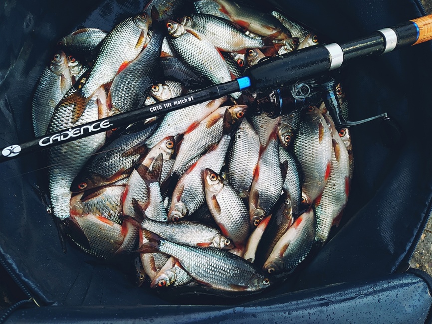 CR10 Match #3 (11ft), 330 см, 2-30г фото 1